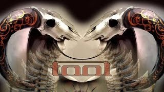 Download lagu TOOL - FORTY SIX & 2 (LYRICS) @TOOLmusic mp3