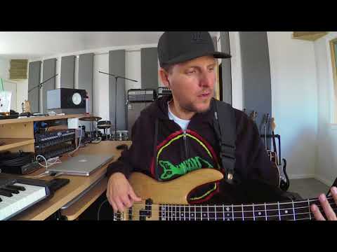 nordstrand bass pickup nj4v nj4vs review