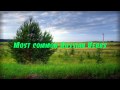 Russian lesson - Most Common Russian Verbs