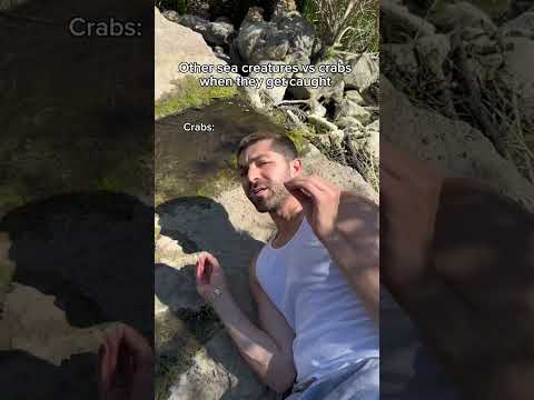 Other sea creatures vs crabs when they get caught. #shorts #skit #funny