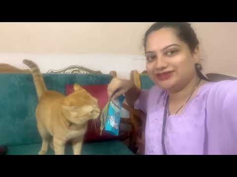 Joy la gift khup awadla! 🐈☺️