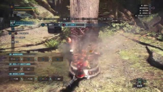 [MHW]HR170↑が往く雪見桜。～参加ご自由に～
