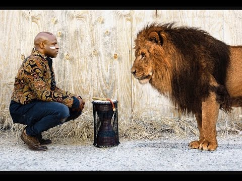 Heart of A Lion - Alex Boye'