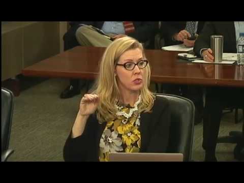 Work 03/07/17 Session - Norfolk City Council