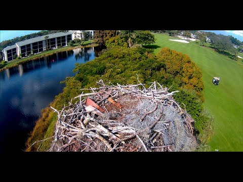 2026 Moorings Park Osprey Live Stream Naples, FL
