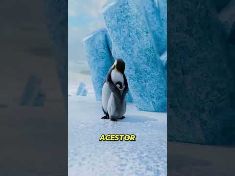 Mama Pinguin Care A Furat Un Alt Pui