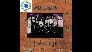 WILD COLONIALS - HEAVEN & HELL - Fruit Of Life (1994) HiDef :: SOTW #58