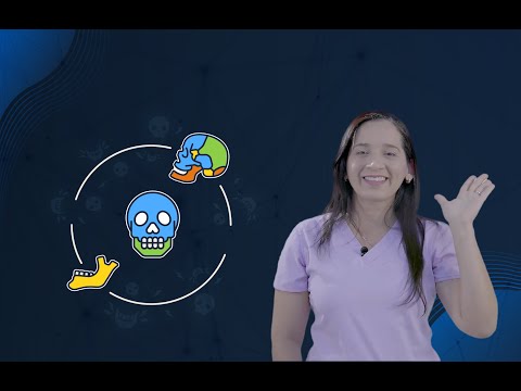 La mandíbula  | Anatomía del cráneo #CursoB10