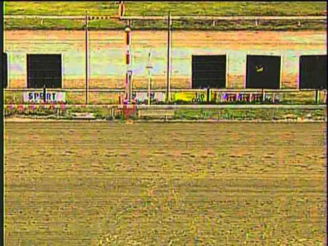 Lunes, 28 de Febrero de 2011 (II) - La Rinconada