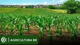 Miniatura do vídeo