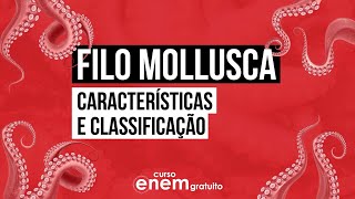 FILO MOLLUSCA: características e classificação | Biologia para o Enem | Cláudia de Souza Aguiar