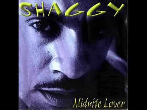 Shaggy Feat. Brian & Tony Gold - Geenie
