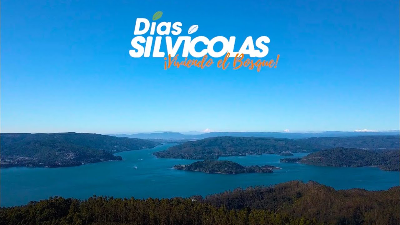 Días Silvícolas - Fundo El Boldo, propiedad de ESSAL.