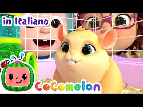 L’animaletto della classe | CoComelon Italiano - Canzoni per Bambini