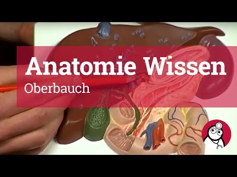 Behandlung von Hüftarthrose Ð ± оР»Ñ ью ковР° л Ñ Ð¾ пину