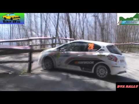 37° Rally il Ciocco 2014 + Crash HD