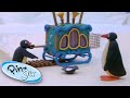 Pingu Brings Music Pingu Official 1 Hour Cartoons For Kids