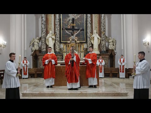 Prijenos obreda Muke Gospodnje iz požeške Katedrale – Veliki petak, 10. travnja 2020.