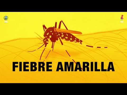 FIEBRE AMARILLA