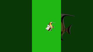 Download lagu Fish Swimming Green Screen Background - Free Download #greenscreen #fishing #chromakey mp3 Download lagu Fish Swimming Green Screen Background - Free Download #greenscreen #fishing #chromakey mp3