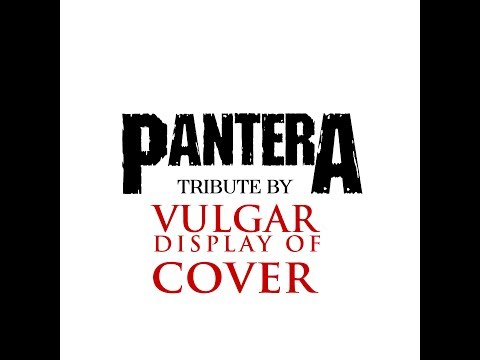 Vulgar Display Of Cover - Hard Lines Sunken Cheeks (Pantera tribute)