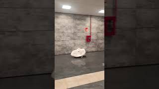 casalnuovo-nuova-stazione-allagata-pioggia-sui-binari-della-tav