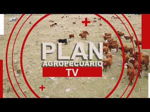 Programa del Plan Agropecuario del 8 de setiembre de 2025