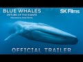 Blue Whales Return Of The Giants Official Trailer 4K SK Films