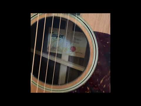 Taylor 314ce V-Class Limited Edition Grand Auditorium Accoustic-Electric Guitar #taylorguitars #314