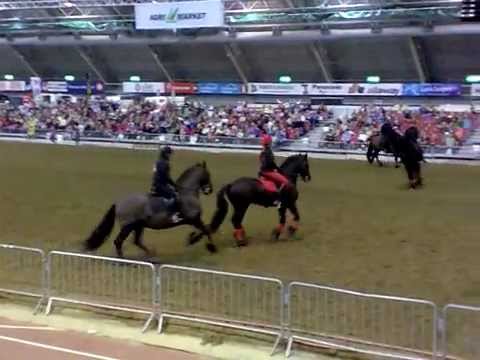 , title : 'Horse show - Hevoskatrilli (Friisiläinen)'