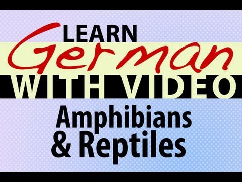 Learn German with Video Common Animals
