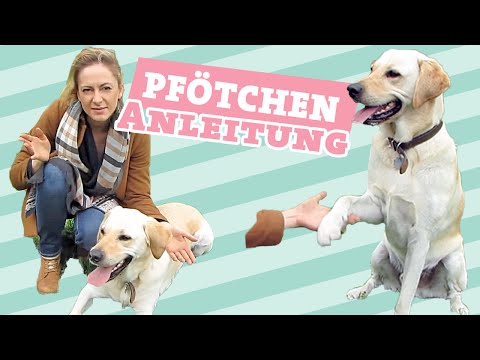 Warikos und die Schuppenflechte Die Schuppenflechte die Behandlung diprospanom