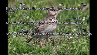 The Lark in the Morning Dubliners version Chords and moving text