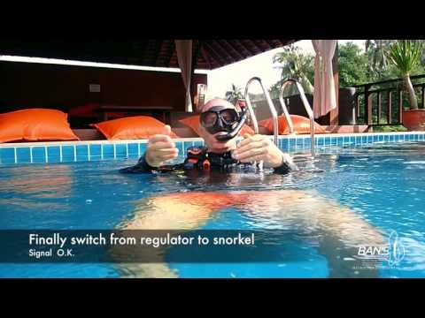 PADI Skill Circuit Full - Divemaster course and IDC