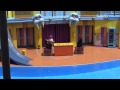 Sea Lion High SeaWorld Orlando