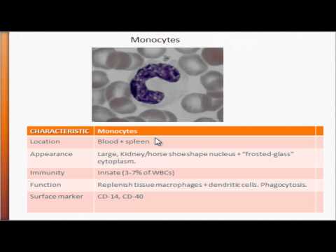 USMLE - Immunology - Monocytes