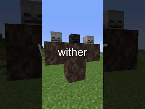 The Secret Behind The Nether Fossil's In Minecraft