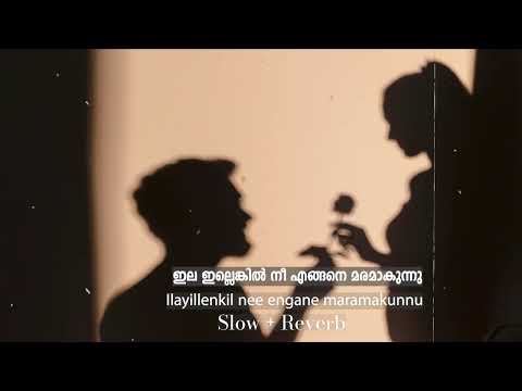 Ilayillenkil nee engane maramakunnu Slow + Reverb | ഇല ഇല്ലെങ്കിൽ നീ എങ്ങനെ മരമാകുന്നു | Ahmed
