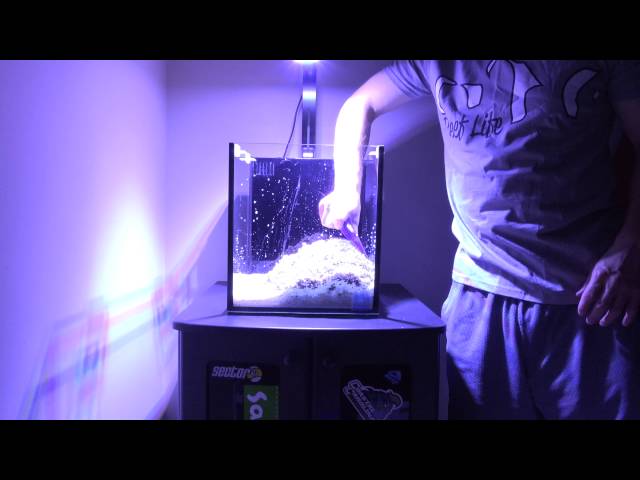 4K Video How to Set Up a Reef Tank Innovative Marine Fusion Nano Nuvo 10 Gallon