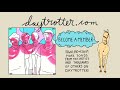 Pterodactyl - The Break - Daytrotter Session