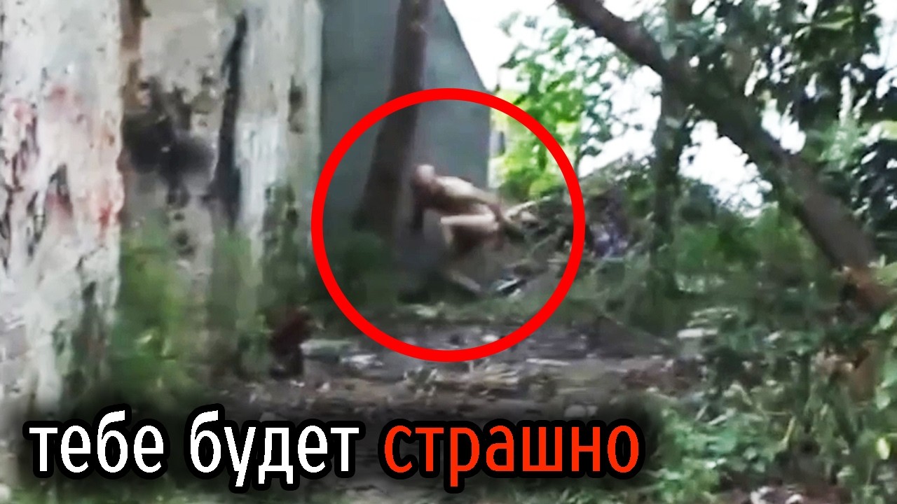 Самые Ужасные Видео со Всего Мира #69