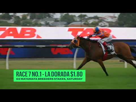 Matamata Breeders Stakes | Racing Passport | Kiersten Duke