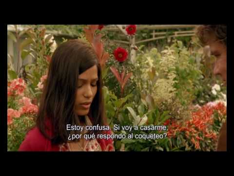 Conocerás al hombre de tus sueños