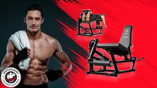 Why Do Pro Trainers Choose The Mikolo Leg Extension Machine?