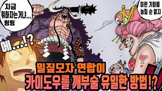 【원피스】밀짚모자 연합이 카이도우를 박살내는 유일한 방법!? feat.징베와 빅맘