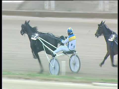 Trotto 31/12/2017 - 2ª corsa