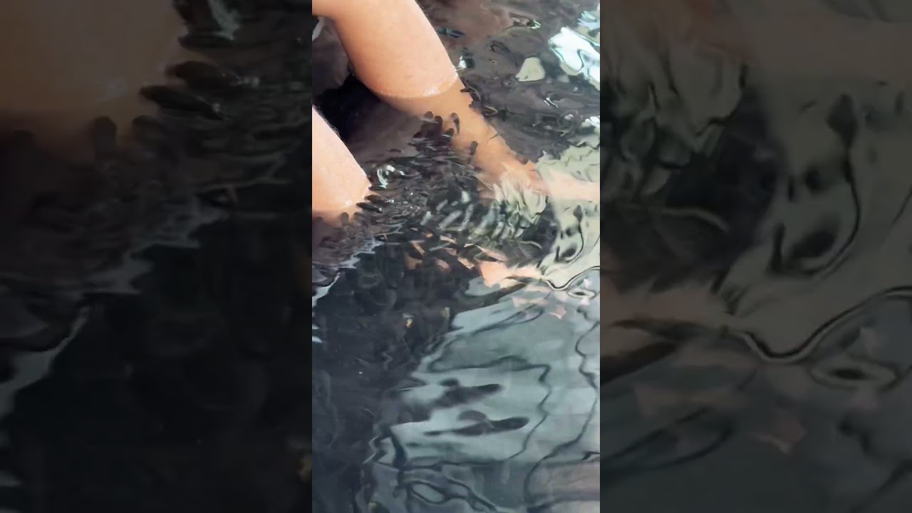 YouTube Short thumbnail