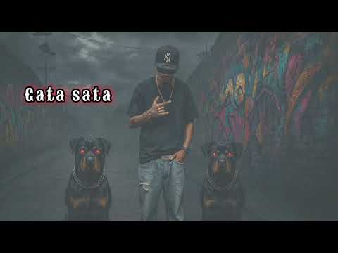 Gata sata_ Master Flow {video official}.
