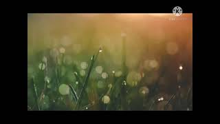 Download lagu nada dering sai horas ma ho mp3 Download lagu nada dering sai horas ma ho mp3