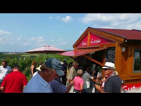 WiWa-Lokal.de - Weinwanderung Rauenberg 2017